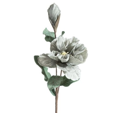 Eurofirany, kwiat flore, o 20-70 cm, popielaty