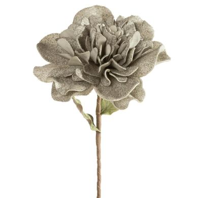 Eurofirany, kwiat flore, o 25-70 cm, popielaty