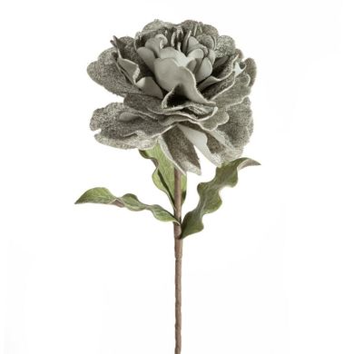 Eurofirany, kwiat flore, o 25-75 cm, popielaty