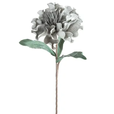 Eurofirany, kwiat flore, o 30-75 cm, popielaty