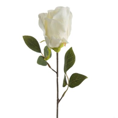 Eurofirany, kwiat Natu, 53 cm, kremowy