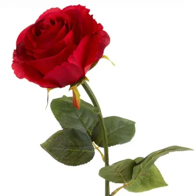 Eurofirany, kwiat Natu, długość 62 cm, średnica kwiatu 10 cm/8 cm, czerwony