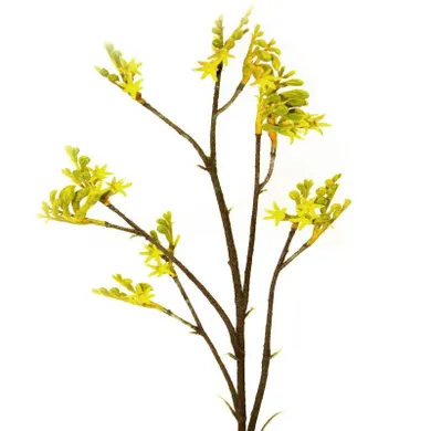 Eurofirany, kwiat Natu, długość 75 cm, długość z kwiatami 40 cm, długość kwiatu 6 cm, żółty
