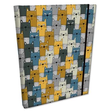 EV-Corp, Soft Touch, notes z gumką, B6, kratka, Kotecki