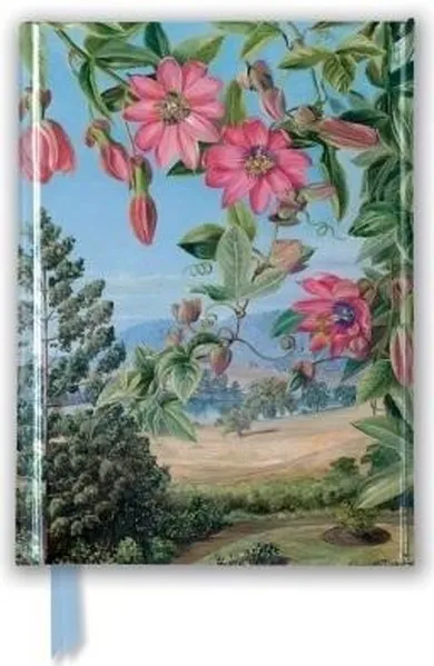 Flame Tree, notatnik A6, linia, Widok w ogrodzie Brisbane Kew, 1 szt.