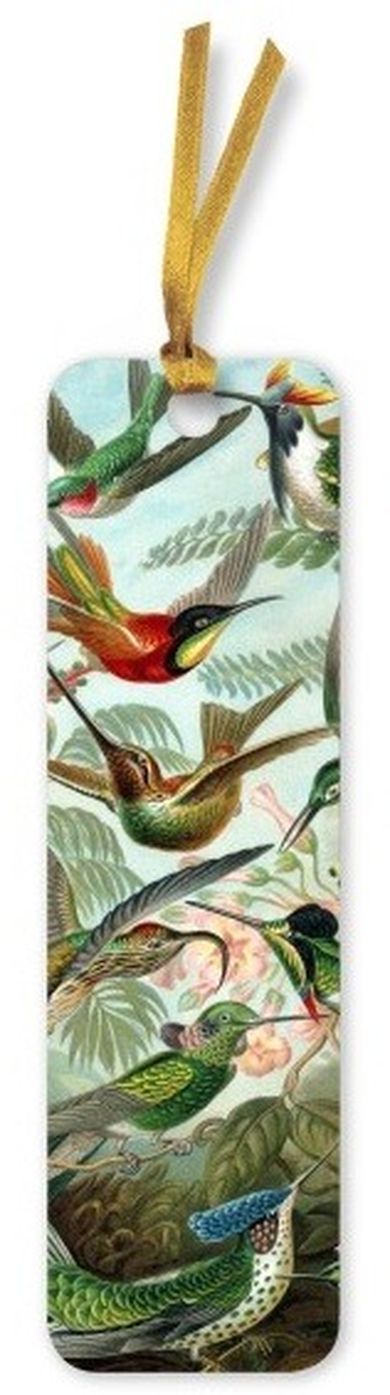 Flame Tree, zakładka do książki, Kolibry Ernst Haeckel