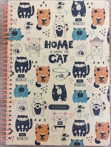 Fresh, kołonotatnik A5, 80 kartek, kratka, kraft, Zabawne kotki, 1 szt.