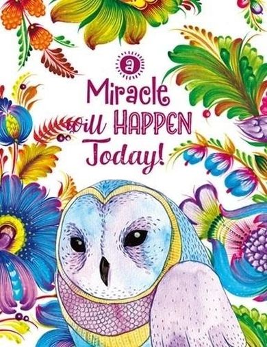 Fresh, notatnik ozdobny, 128-165, 64 kartki, kratka, Sowa, 1 szt.