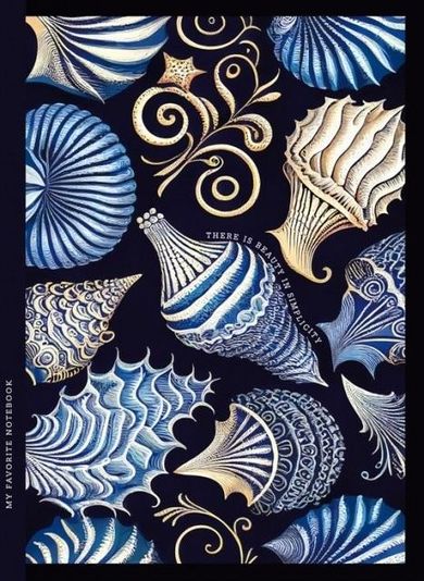 Fresh, notatnik ozdobny, 143-200, 64 kartek, kratka, muszle, 1 szt.