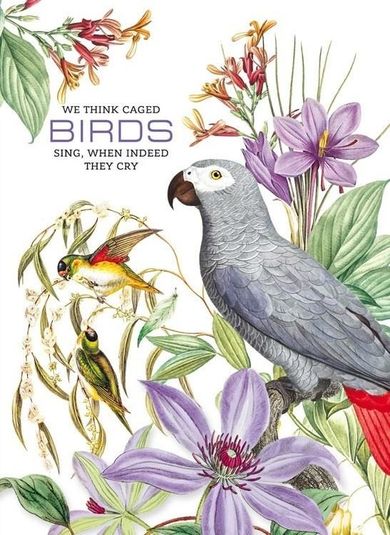 Fresh, notatnik ozdobny, 165-238, 80 kartek, kratka, Papugi, 1 szt.