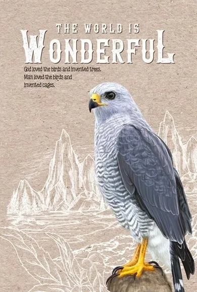 Fresh, notatnik ozdobny, 80K, kratka, sokół, 1 szt.