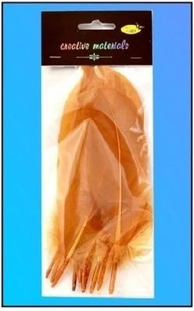 Galeria Hobby, piórka twarde, jasnobrązowe, 10 szt.