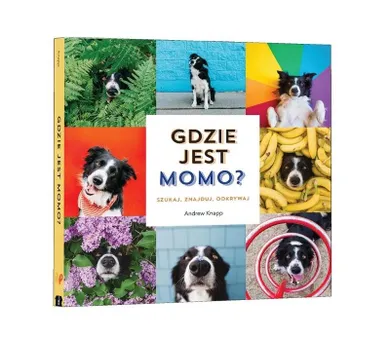 Gdzie jest Momo? Szukaj, znajduj, odkrywaj