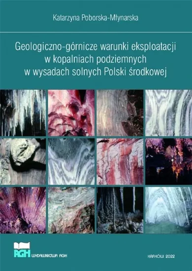 Geologiczno-górnicze warunki eksploatacji w kopalniach podziemnych w wysadach solnych Polski środkowej