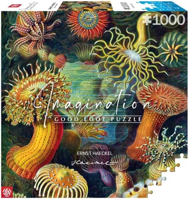 Good Loot, Ernst Haeckel, Stworzenia morskie, puzzle, 1000 elementów