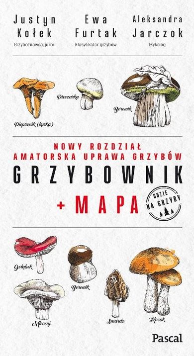 Grzybownik+mapa