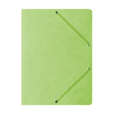 Hamelin, teczka preszpanowa z gumką Bantex, A4, jasnozielony, 1 szt.