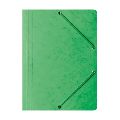 Hamelin, teczka preszpanowa z gumką Bantex, A4, zielony, 1 szt.