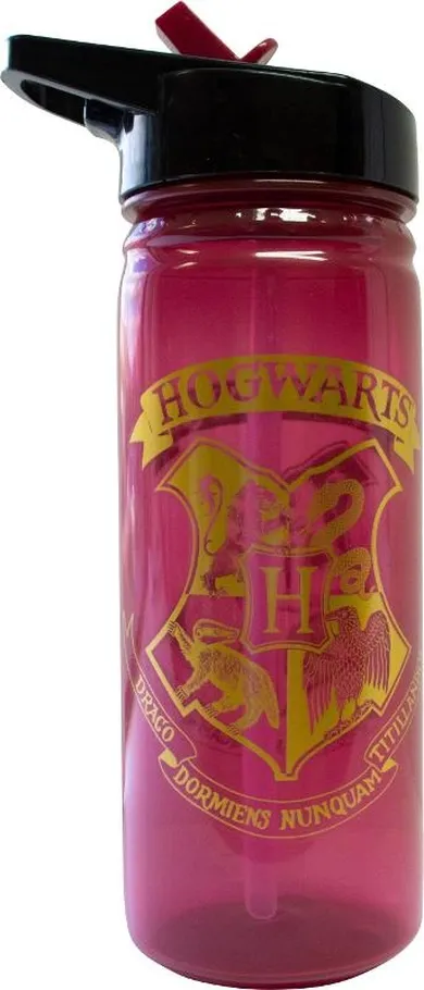 Harry Potter, bidon, 600 ml