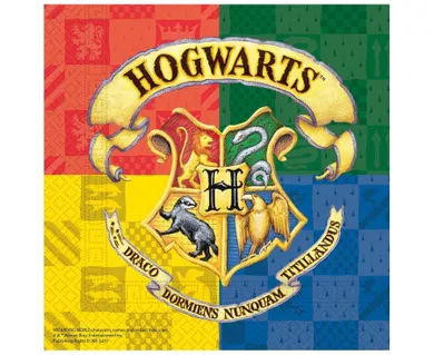 Harry Potter, serwetki urodzinowe, Hogwart, 33-33 cm, 20 szt.