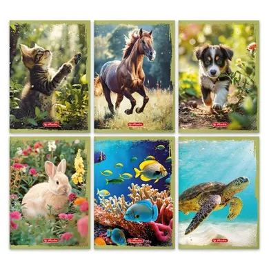 Herlitz, zeszyt A5, 32 kartki, linia, Animals, 10 szt.