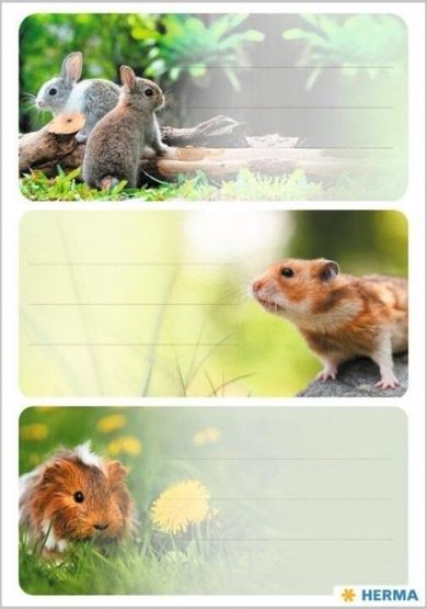 Herma, naklejki szkolne, gryzionie