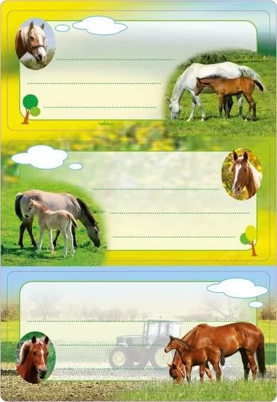 Herma, naklejki szkolne, konie