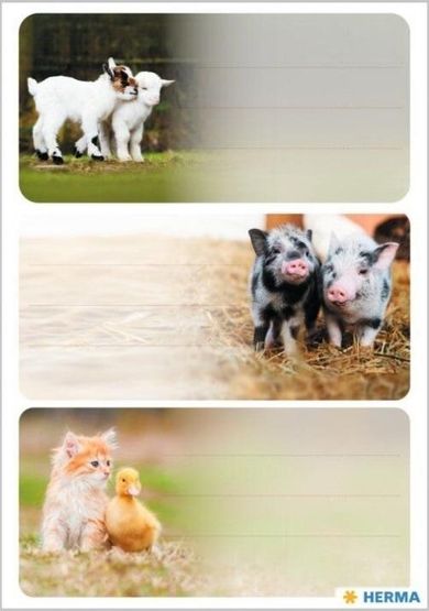 Herma, naklejki szkolne, zwierzęta wiejskie