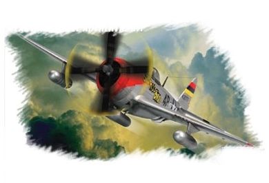 Hobby Boss, P-47D Thunde rbolt, model