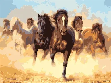 Hobby Maniak, malowanie po numerach, Pędzące konie, 40-50 cm