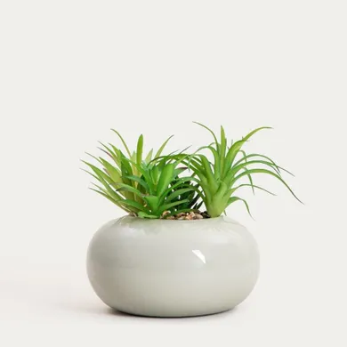 Homla, Accio, roślina sztuczna, sukulent w donicy, 19 cm
