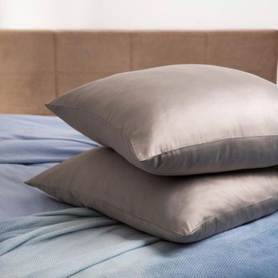 Homla, Bamsa, zestaw dwóch poszewek, bambusowych, szarych, 70-80 cm, 738517