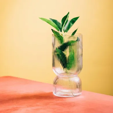 Homla, Limpid, wazon, szklany transparentny, 21 cm