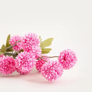 Homla, Marita, bukiet kwiatów, stokrotki pełne różowe, 52 cm