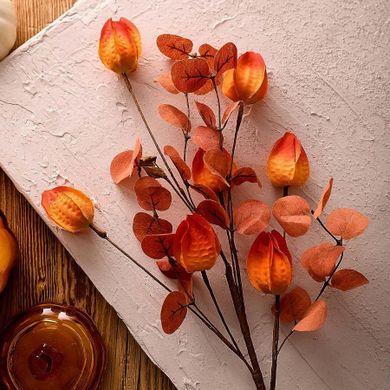 Homla, Michu, gałązka sztuczna, miechunka pomarańczowa, 60 cm