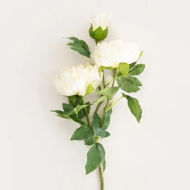 Homla, Paeonia, gałązka sztuczna, piwonie białe, 81 cm