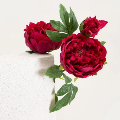 Homla, Paeonia, roślina sztuczna, piwonie ciemnoróżowe, 81 cm