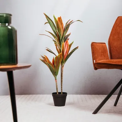 Homla, Tropical Zone, roślina sztuczna, dracena, 90 cm, 740596