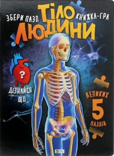 Human body (wersja ukraińska)