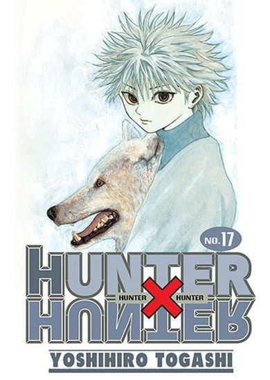 Hunter x Hunter. Tom 17