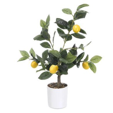 Ibergarden, dekoracyjne drzewko cytrynowe, 58 cm
