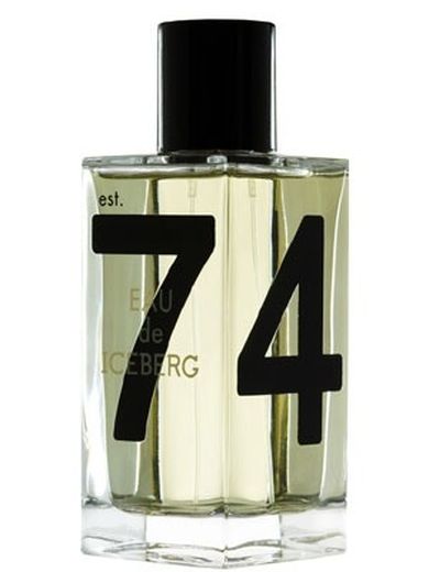 Iceberg, Eau de Iceberg Pour Homme, woda toaletowa, 100 ml