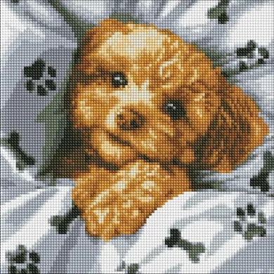 Ideyka, diamentowa mozaika, Uroczy Maltipoo, 40-40 cm
