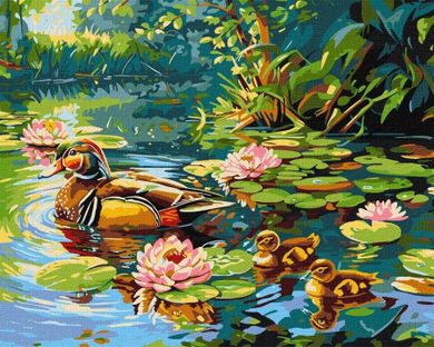 Ideyka, malowanie po numerach, Kacza rodzina, 40-50 cm