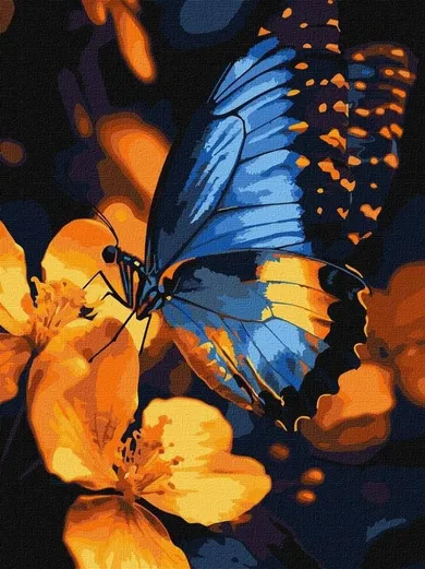 Ideyka, malowanie po numerach, migotanie skrzydeł, 30-40 cm