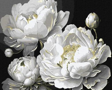 Ideyka, malowanie po numerach, Nieskazitelne piękno, 40-50 cm