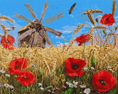 Ideyka, malowanie po numerach, Nowa uprawa, 40-50 cm