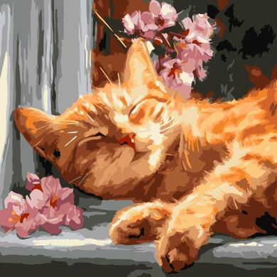 Ideyka, malowanie po numerach, Rudy kot na parapecie