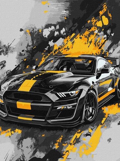 Ideyka, malowanie po numerach, Styl sportowy, 30-40 cm