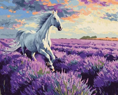 Ideyka, malowanie po numerach, W lawendowych polach, 40-50 cm